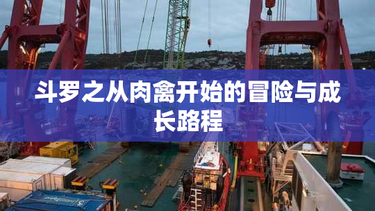 斗罗之从肉禽开始的冒险与成长路程