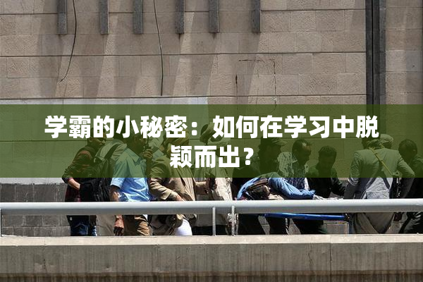 学霸的小秘密：如何在学习中脱颖而出？