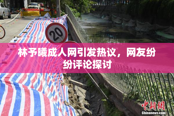 林予曦成人网引发热议，网友纷纷评论探讨