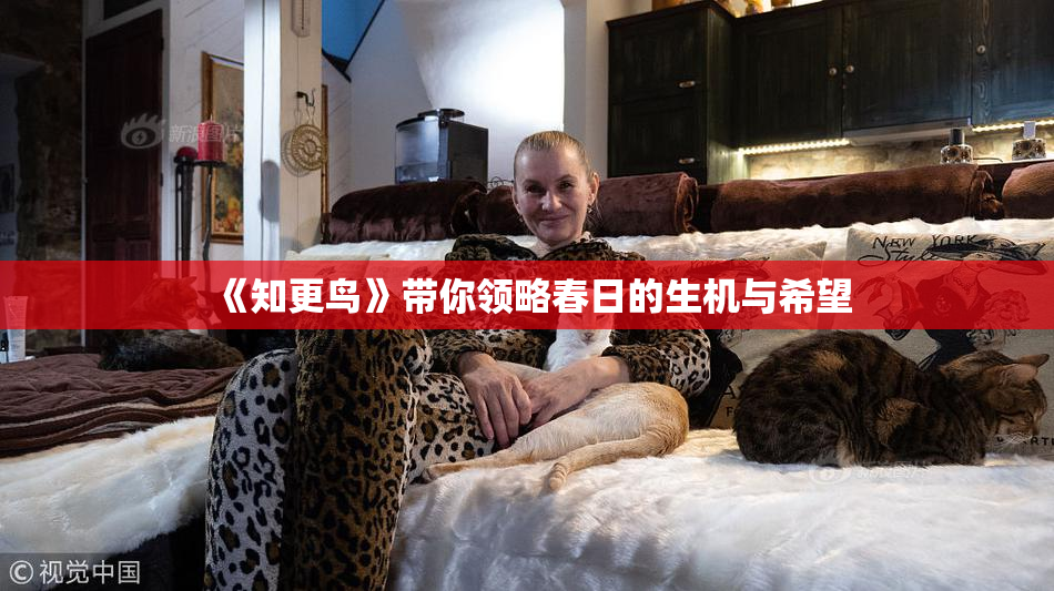 《知更鸟》带你领略春日的生机与希望