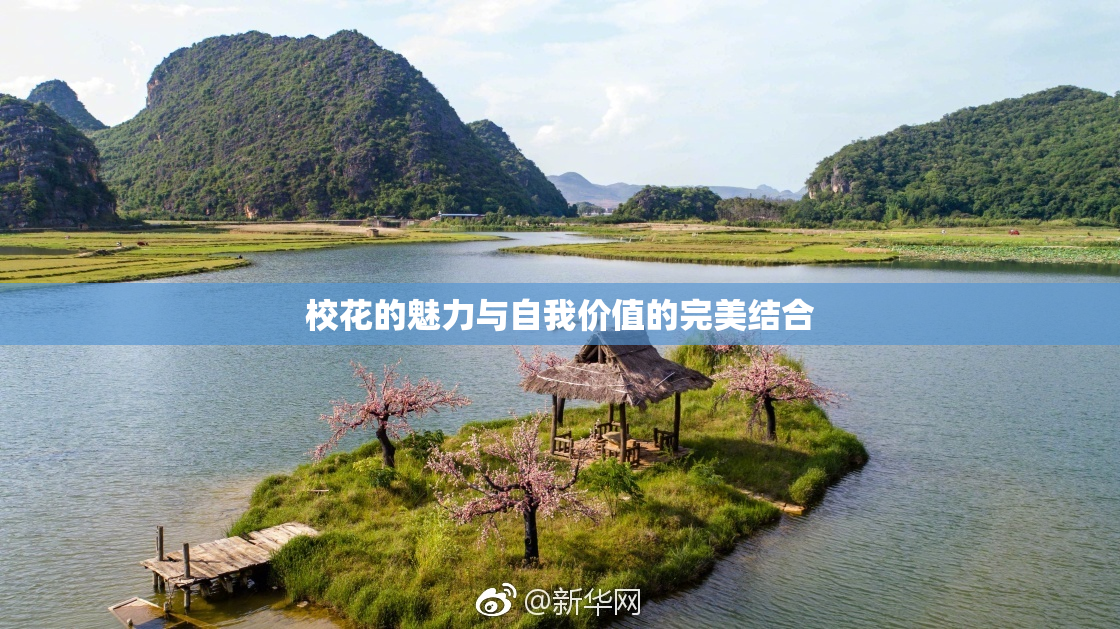 校花的魅力与自我价值的完美结合