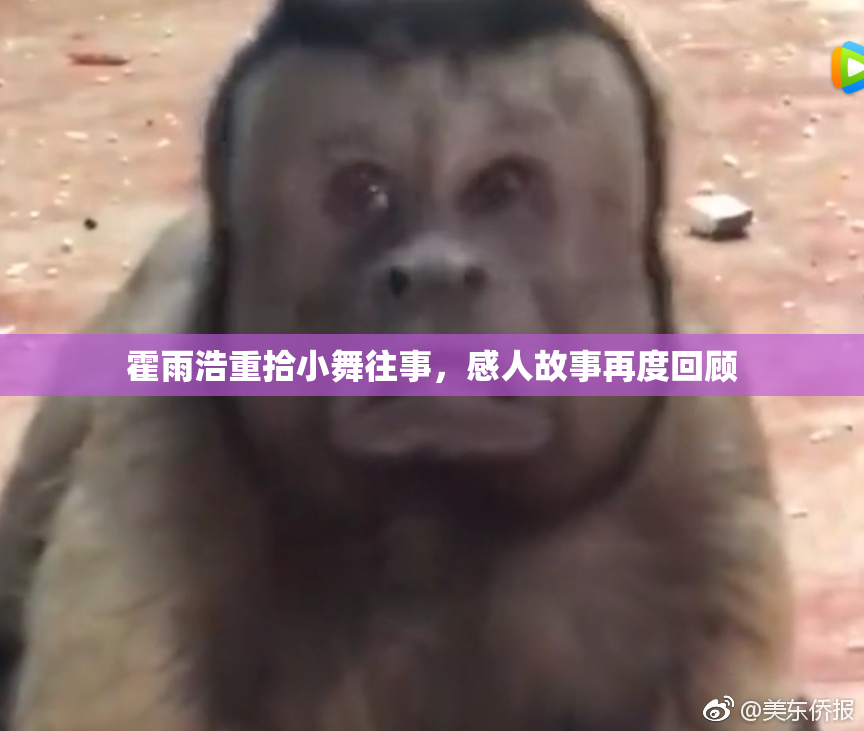 霍雨浩重拾小舞往事，感人故事再度回顾