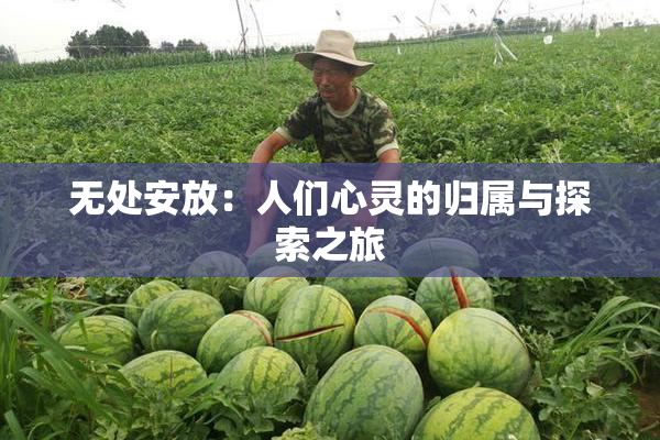 无处安放：人们心灵的归属与探索之旅
