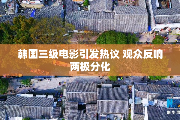 韩国三级电影引发热议 观众反响两极分化