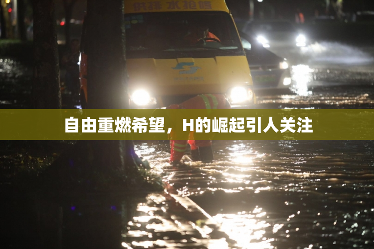 自由重燃希望，H的崛起引人关注