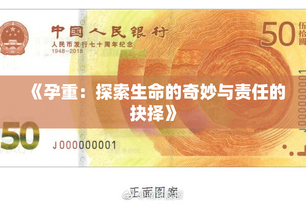 《孕重：探索生命的奇妙与责任的抉择》