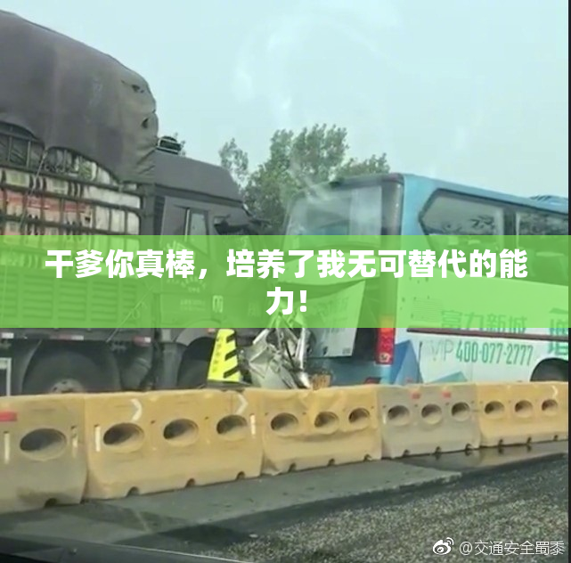干爹你真棒，培养了我无可替代的能力！