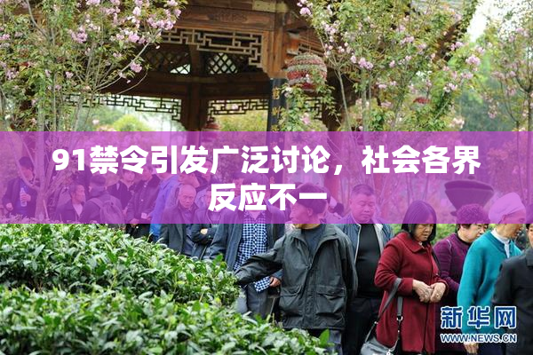 91禁令引发广泛讨论，社会各界反应不一
