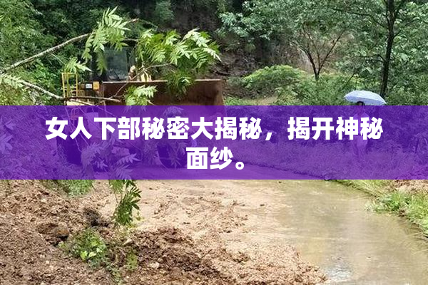 女人下部秘密大揭秘，揭开神秘面纱。