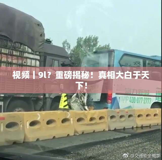 视频丨9l？重磅揭秘！真相大白于天下！