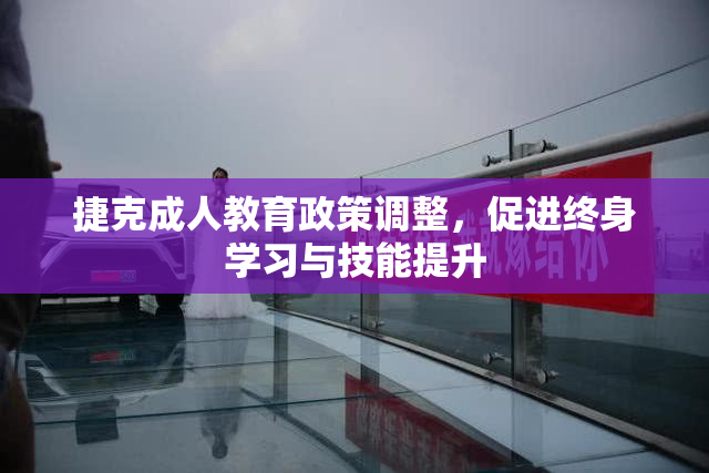 捷克成人教育政策调整，促进终身学习与技能提升