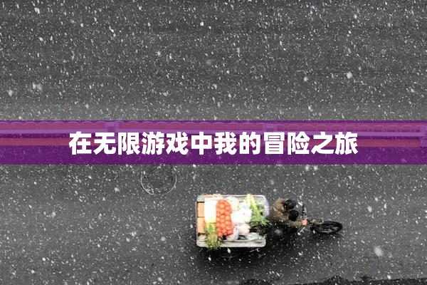 在无限游戏中我的冒险之旅