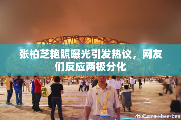 张柏芝艳照曝光引发热议，网友们反应两极分化