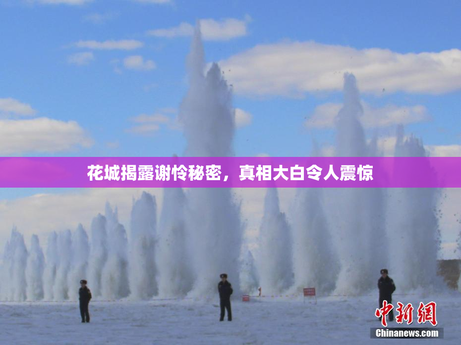 花城揭露谢怜秘密，真相大白令人震惊