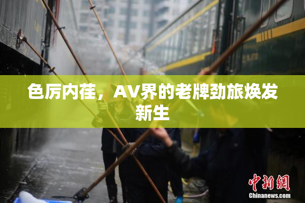 色厉内荏，AV界的老牌劲旅焕发新生