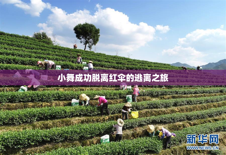 小舞成功脱离红伞的逃离之旅