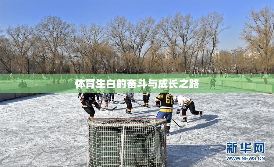 体育生白的奋斗与成长之路