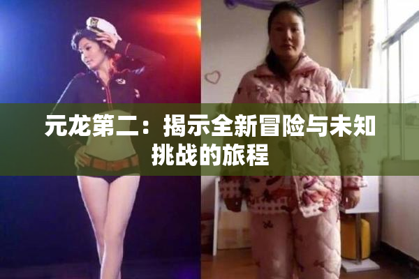 元龙第二：揭示全新冒险与未知挑战的旅程