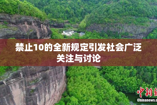 禁止10的全新规定引发社会广泛关注与讨论