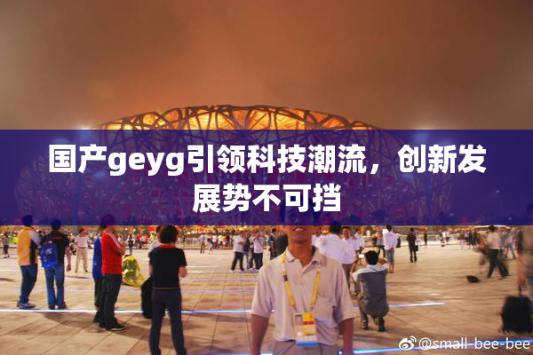 国产geyg引领科技潮流，创新发展势不可挡