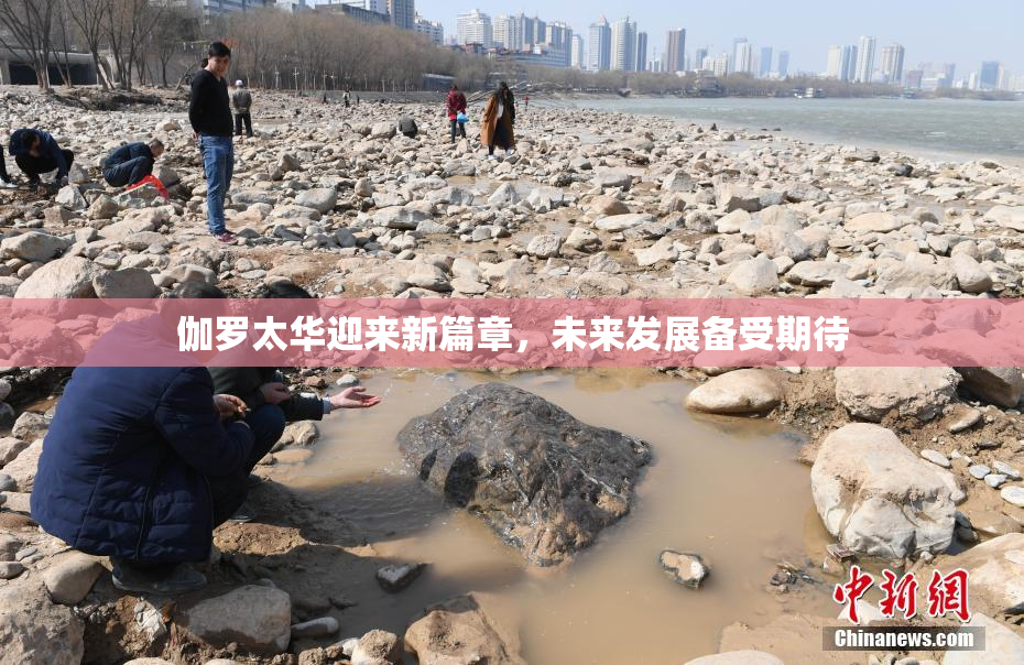 伽罗太华迎来新篇章，未来发展备受期待