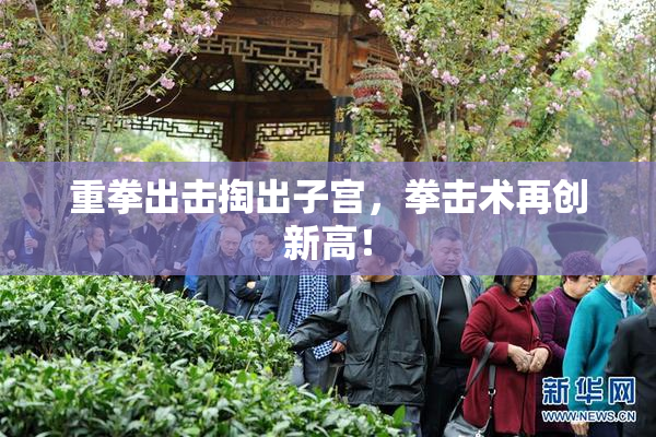 重拳出击掏出子宫，拳击术再创新高！