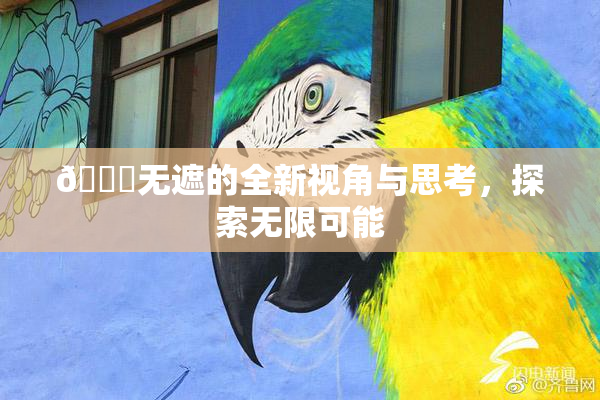 🔞无遮的全新视角与思考，探索无限可能