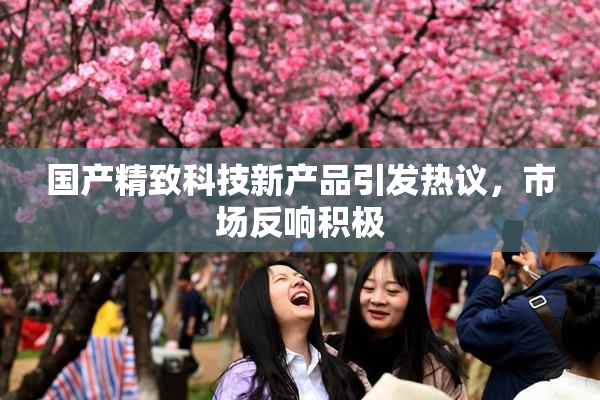 国产精致科技新产品引发热议，市场反响积极