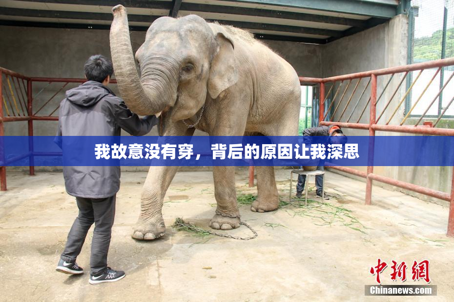 我故意没有穿，背后的原因让我深思