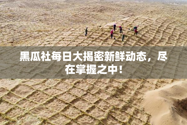 黑瓜社每日大揭密新鲜动态，尽在掌握之中！
