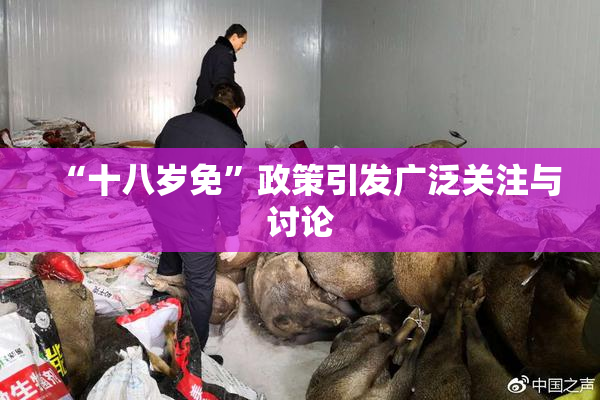 “十八岁免”政策引发广泛关注与讨论