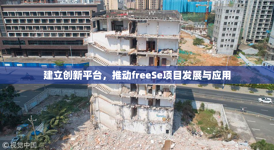 建立创新平台，推动freeSe项目发展与应用