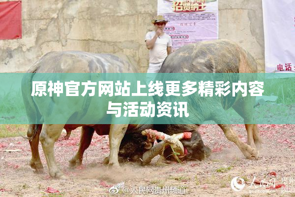 原神官方网站上线更多精彩内容与活动资讯
