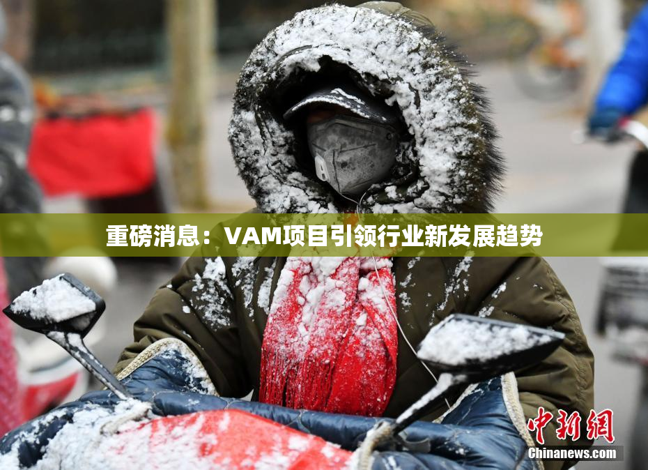 重磅消息：VAM项目引领行业新发展趋势