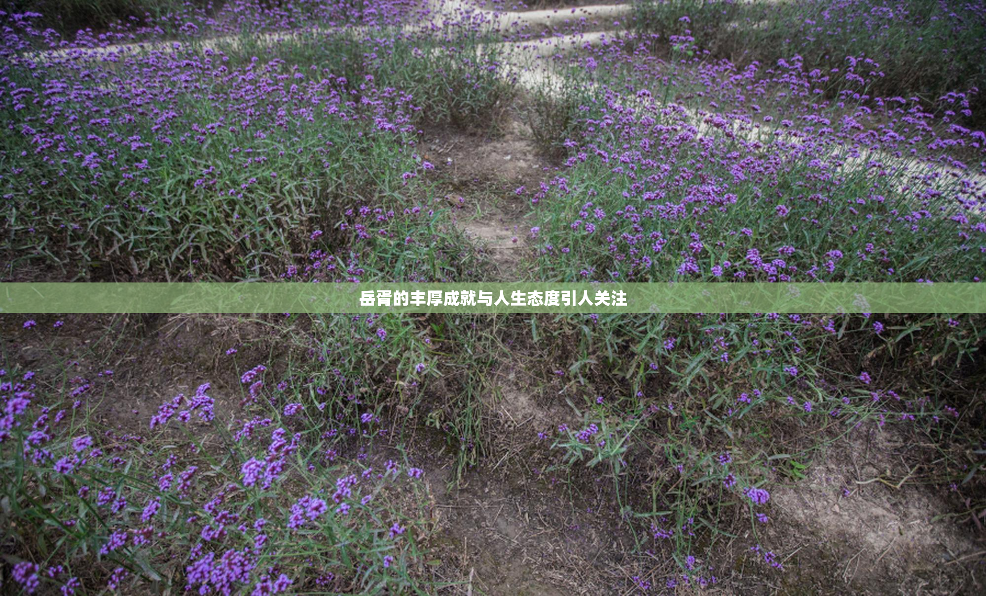 岳胥的丰厚成就与人生态度引人关注