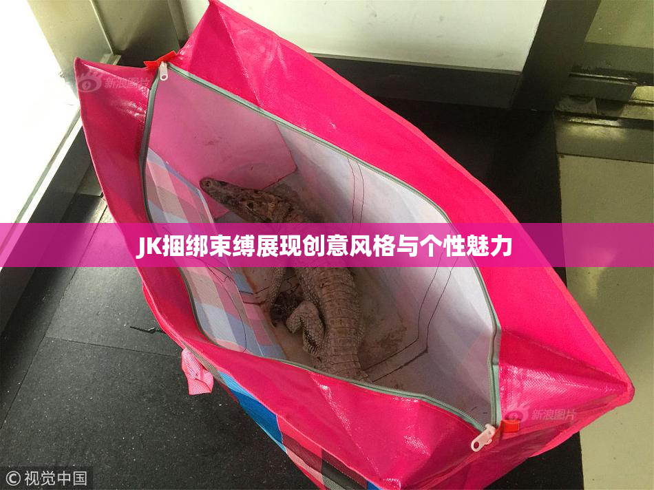 JK捆绑束缚展现创意风格与个性魅力