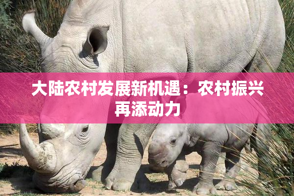 大陆农村发展新机遇：农村振兴再添动力