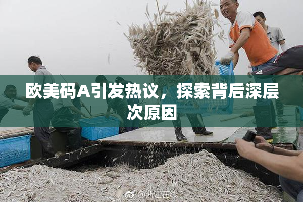 欧美码A引发热议，探索背后深层次原因