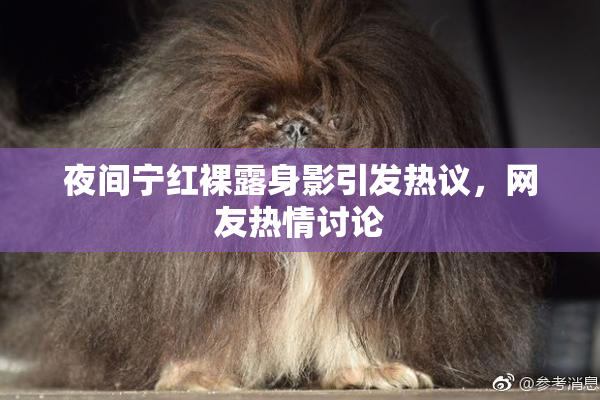 夜间宁红裸露身影引发热议，网友热情讨论