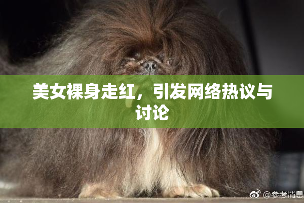 美女裸身走红，引发网络热议与讨论