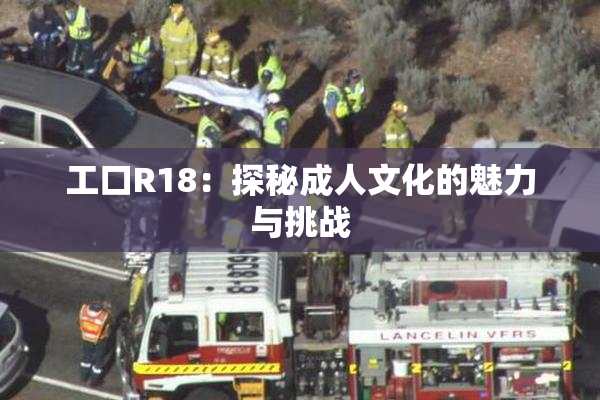 工口R18：探秘成人文化的魅力与挑战