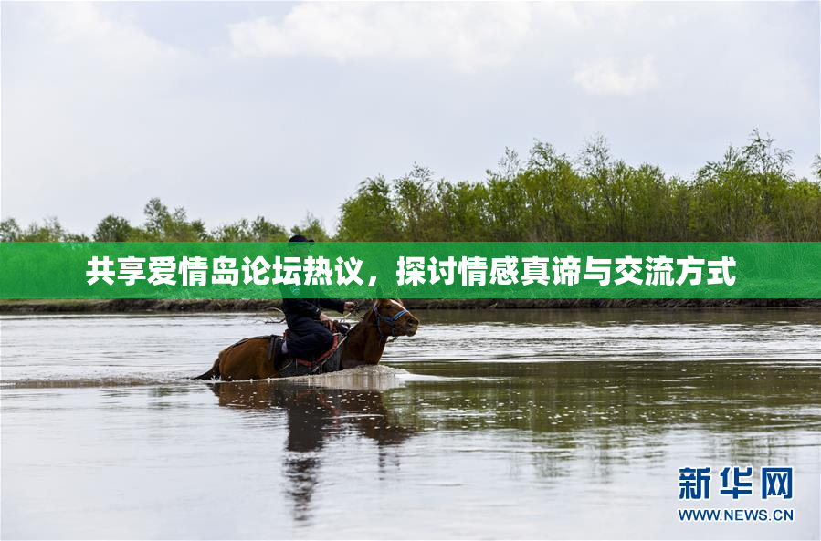 共享爱情岛论坛热议，探讨情感真谛与交流方式