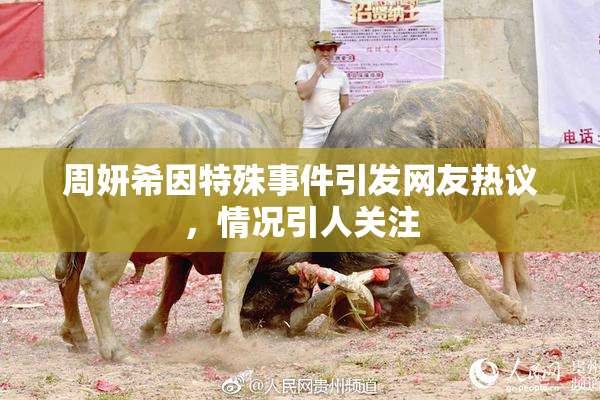 周妍希因特殊事件引发网友热议，情况引人关注