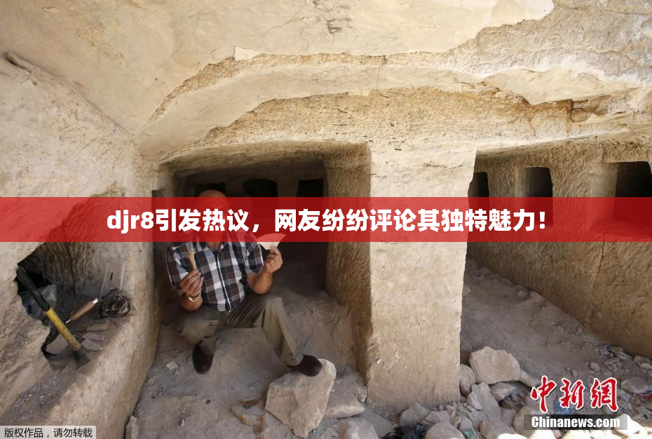 djr8引发热议，网友纷纷评论其独特魅力！