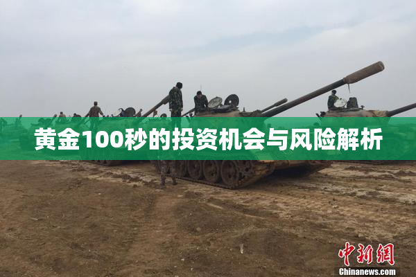 黄金100秒的投资机会与风险解析