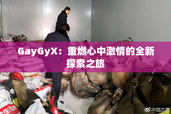 GayGyX：重燃心中激情的全新探索之旅