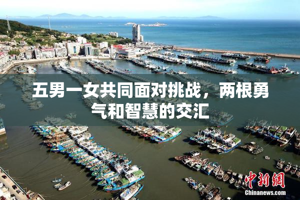五男一女共同面对挑战，两根勇气和智慧的交汇