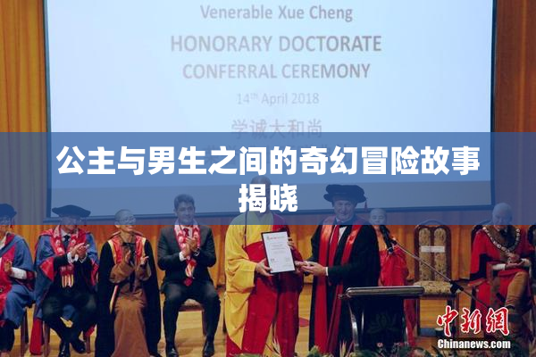 公主与男生之间的奇幻冒险故事揭晓