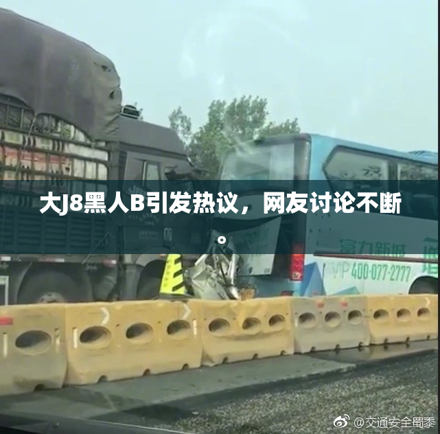 大J8黑人B引发热议，网友讨论不断。