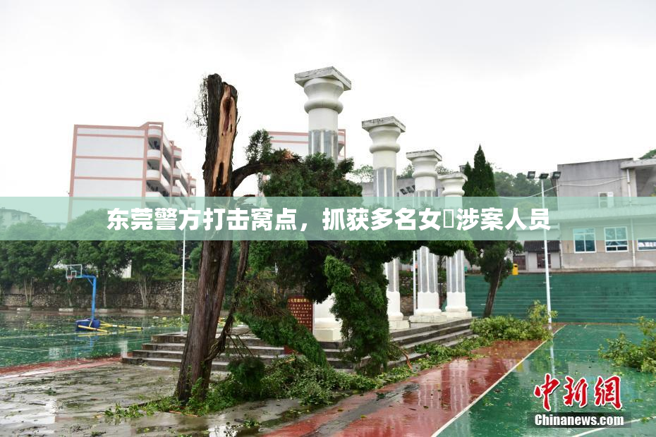 东莞警方打击窝点，抓获多名女婬涉案人员